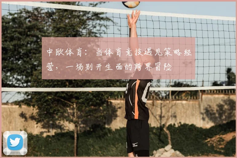 中欧体育：当体育竞技遇见策略经营，一场别开生面的跨界冒险